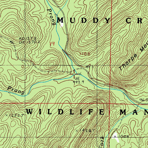 Topographic Map of Bear Cave Prong, AR