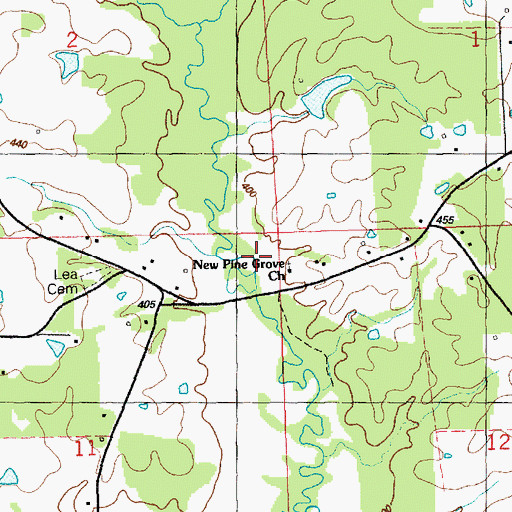 Topographic Map of New Pine Grove Church, MS