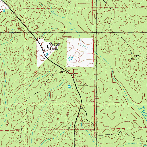 Topographic Map of South Tom Branch Oil Field, MS
