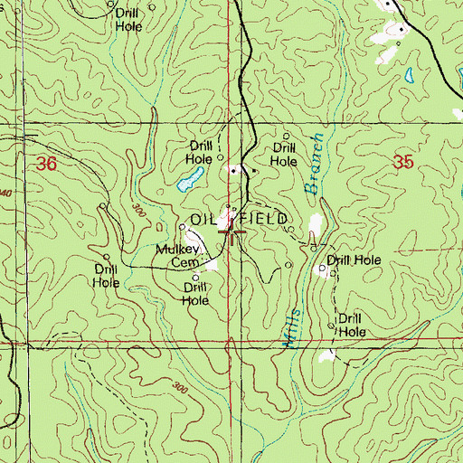 Topographic Map of South Providence Oil Field, MS