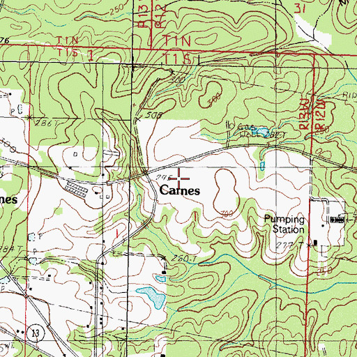 Topographic Map of Carnes, MS