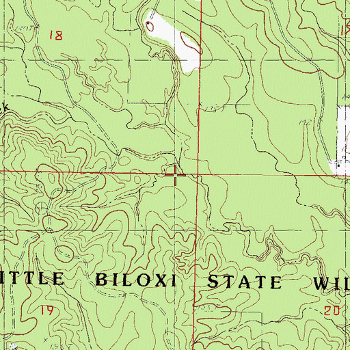 Topographic Map of Ditch Branch, MS