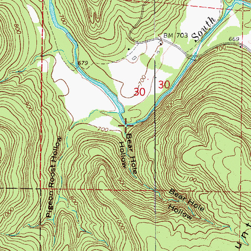 Topographic Map of Bear Hole Hollow, AR