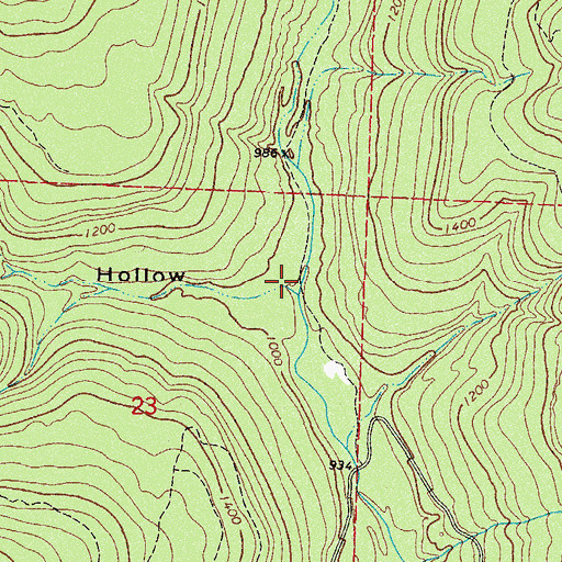 Topographic Map of Bear Hollow, AR