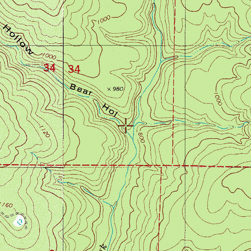 Topographic Map of Bear Hollow, AR