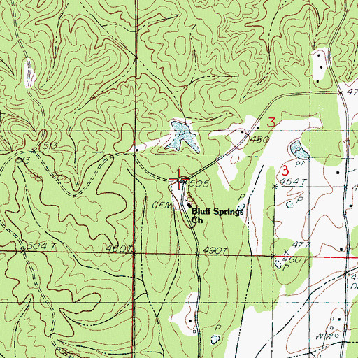 Topographic Map of Bluff Springs (historical), MS