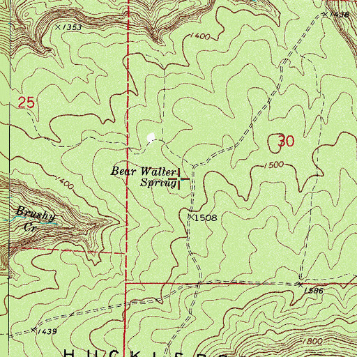 Topographic Map of Bear Waller Spring, AR