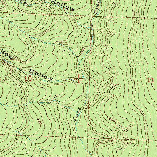 Topographic Map of Bear Wallow Hollow, AR