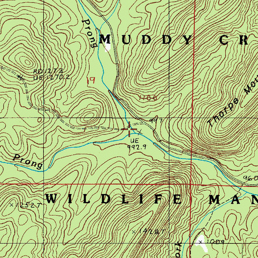 Topographic Map of Bear Wallow Prong, AR