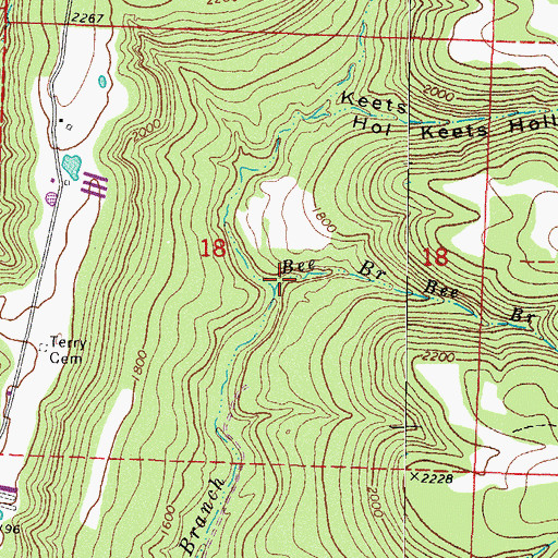Topographic Map of Bee Branch, AR