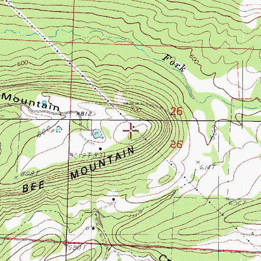 Topographic Map of Bee Mountain, AR