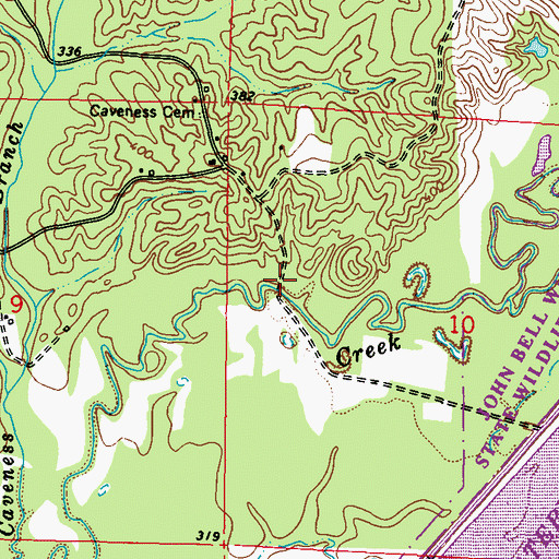Topographic Map of Caveness Bridge, MS