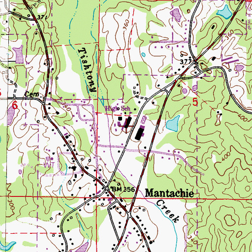 Topographic Map of Mantachie School, MS