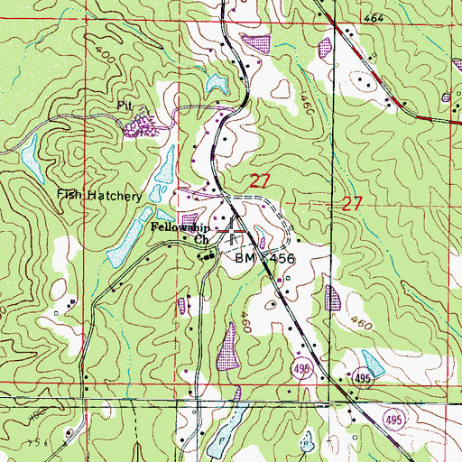 Topographic Map of Fellowship Cemetery, MS