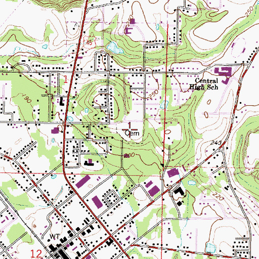Topographic Map of Waynesboro Cemetery, MS