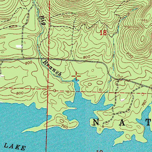 Topographic Map of Big Branch, AR