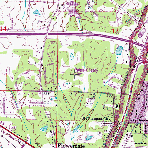 Topographic Map of Rains-Creely Family Cemetery, MS