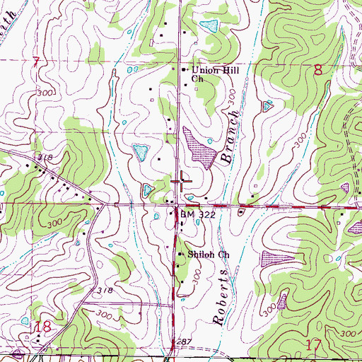 Topographic Map of Shiloh, MS