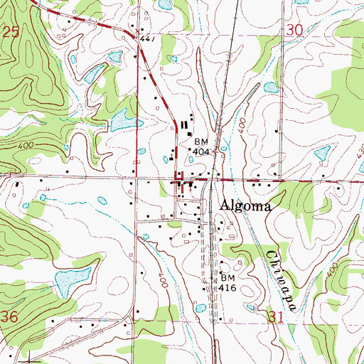 Topographic Map of Algoma Baptist Church, MS