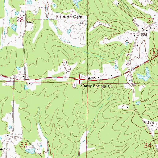 Topographic Map of Carey Springs School (historical), MS