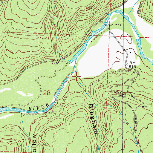 Topographic Map of Bingham Hollow, AR