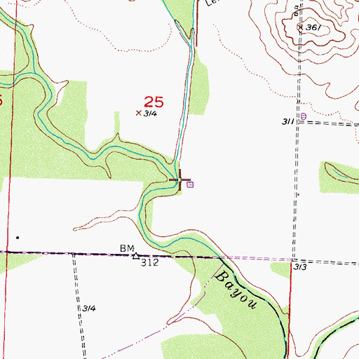 Topographic Map of Black Branch, AR