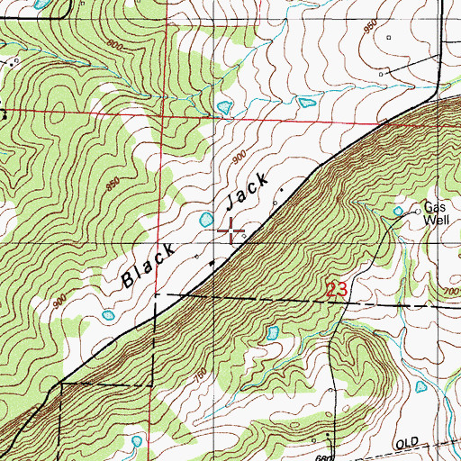 Topographic Map of Black Jack Ridge, AR