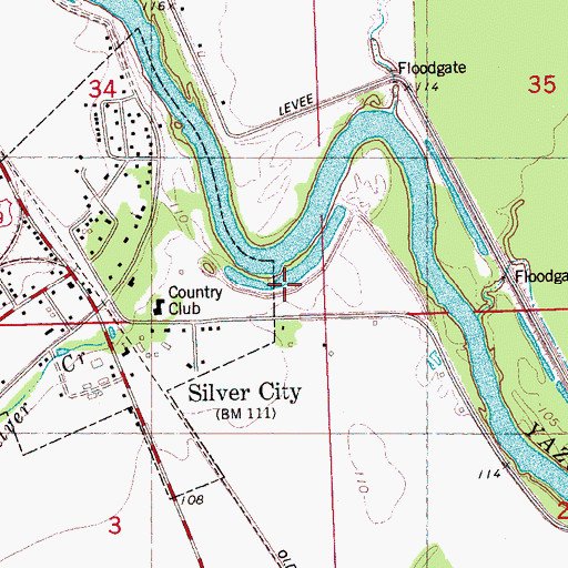 Topographic Map of Palmetto Home Landing (historical), MS