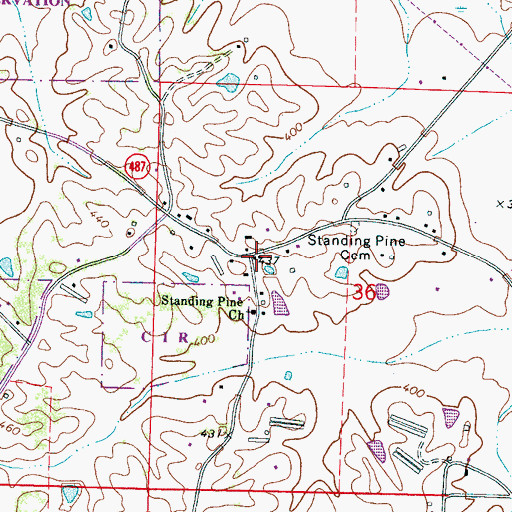 Topographic Map of Standing Pine, MS