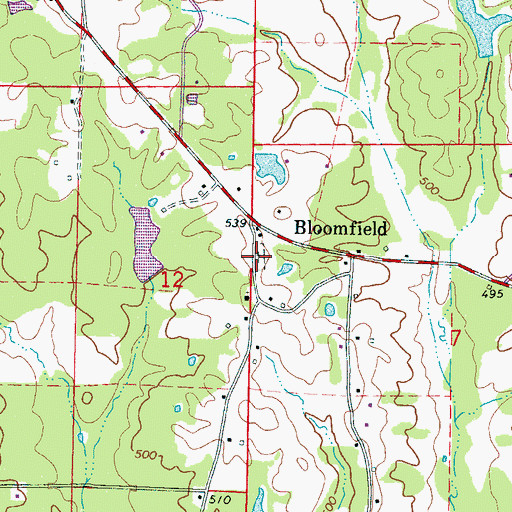Topographic Map of Bloomfield Cemetery, MS