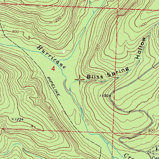 Topographic Map of Bliss Spring Hollow, AR