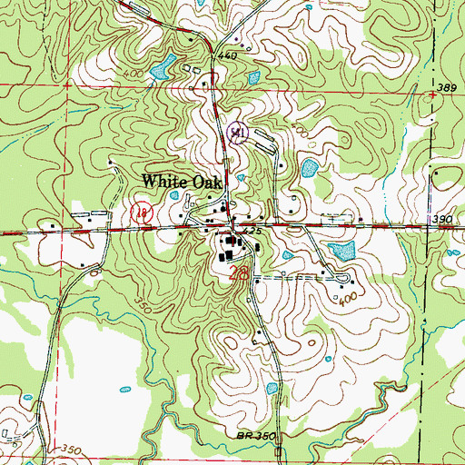Topographic Map of White Oak Attendance Center, MS