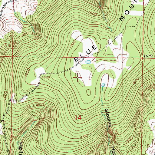 Topographic Map of Blue Mountain, AR