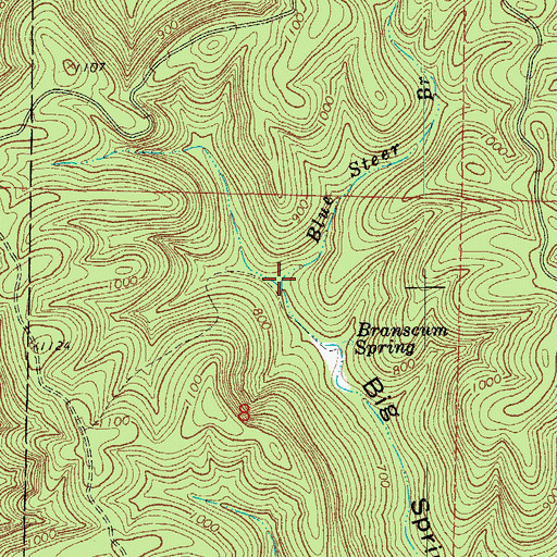 Topographic Map of Blue Steer Branch, AR