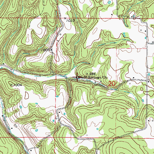 Topographic Map of Bluff Springs Church, AR