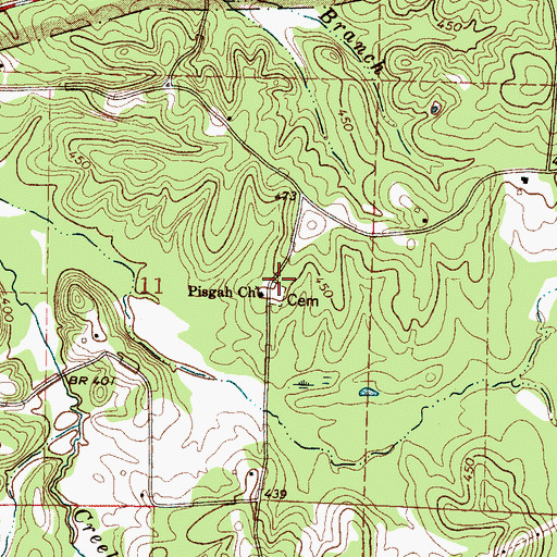 Topographic Map of Pisgah Cemetery, MS