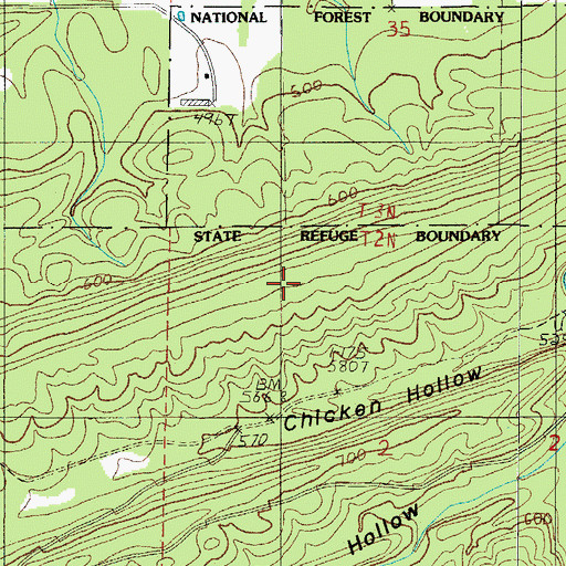Topographic Map of Bogus Ridge, AR