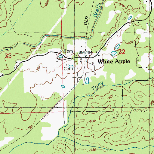 Topographic Map of White Apple Cemetery, MS