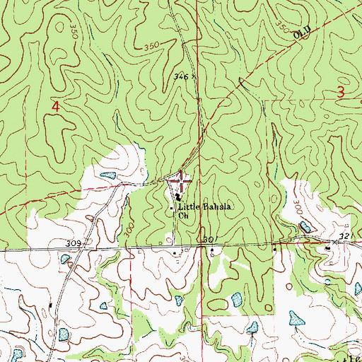 Topographic Map of Little Bahala Cemetery, MS