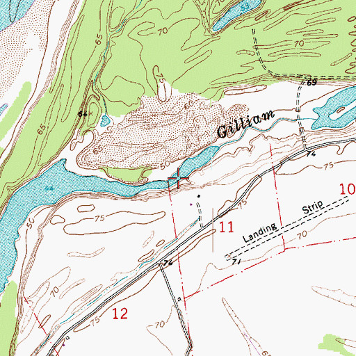 Topographic Map of Buena Vista Landing, MS
