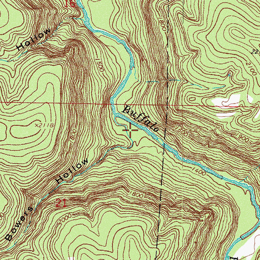 Topographic Map of Bowers Hollow, AR