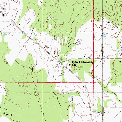 Topographic Map of New Fellowship, MS