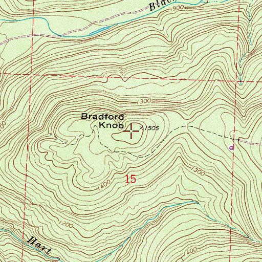 Topographic Map of Bradford Knob, AR