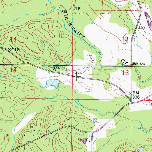 Topographic Map of Chomontakali (historical), MS