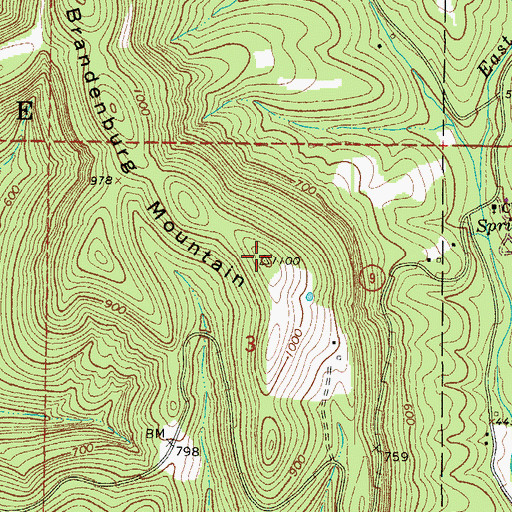 Topographic Map of Brandenburg Mountain, AR