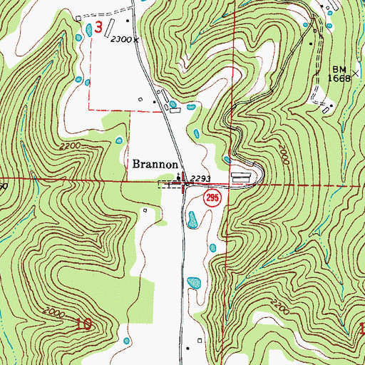 Topographic Map of Brannon, AR