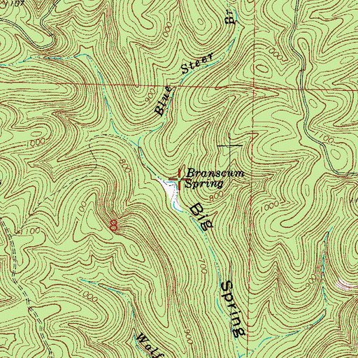 Topographic Map of Branscum Spring, AR
