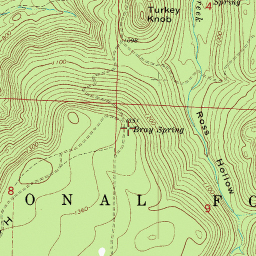 Topographic Map of Bray Spring, AR