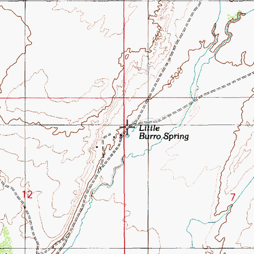 Topographic Map of Little Burro Spring, AZ