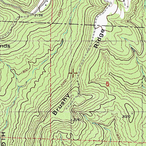 Topographic Map of Brushy Ridge, AR